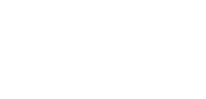 E&S
